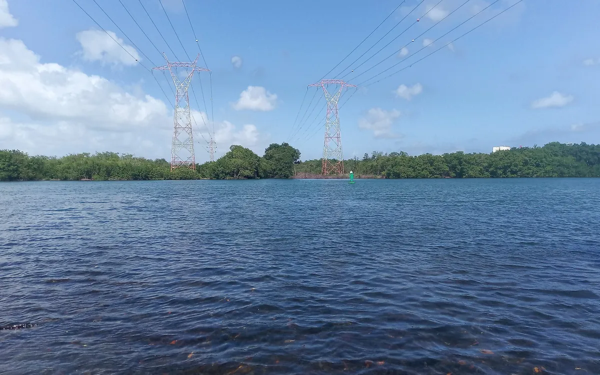 Pylônes et lignes à haute tension franchissant la Rivière Salée, en Guadeloupe