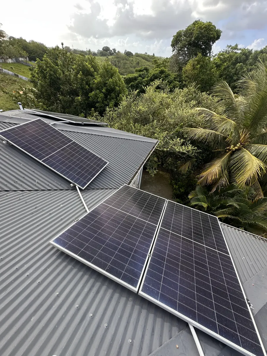 Installation solaire Le Moule Guadeloupe 12 kWc — panneaux solaires en toiture entourés de végétation tropicale