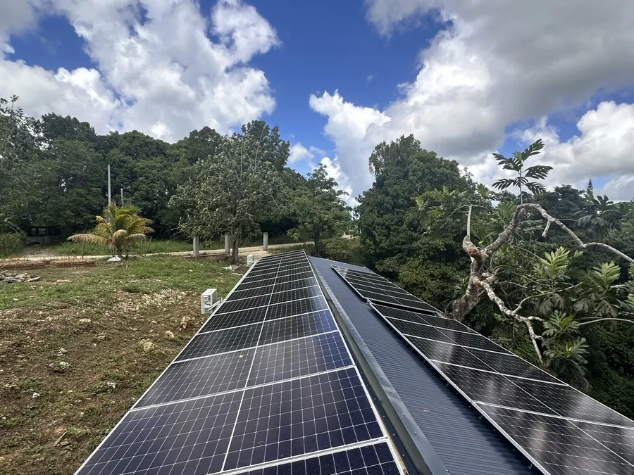 Installation solaire Morne-à-l'Eau Guadeloupe 15 kWc — rangée de panneaux photovoltaïques face à la végétation
